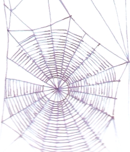 tela de araña